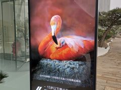 餐饮设施-罗红摄影艺术馆