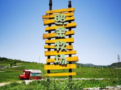 -照金香山旅游景区