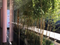 点击看大图 -爱儿美儿童摄影(朝阳公园店)