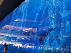 -成都浩海立方海洋公园