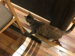 -猫的天空之城概念书店(杭州南宋御街店)