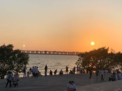 -宝安西湾红树林湿地公园