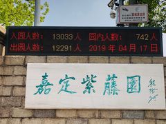-嘉定紫藤园