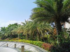 -文昌温德姆至尊豪廷大酒店·星璨全日制餐厅