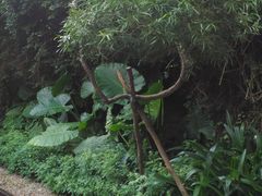 -铁路文化公园