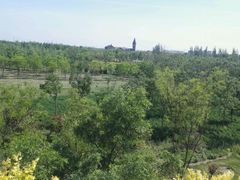 -武清南湖绿博园