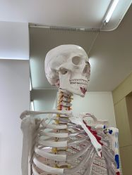 -初练产后康复