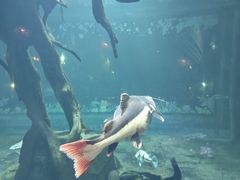 -华夏文旅西安度假区