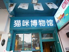 -猫咪博物馆(顶澳仔猫街店)