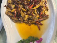 -山菌美食苑(振兴路店)