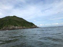 -盐洲岛