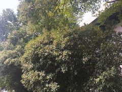 -绍兴鉴湖君澜大酒店