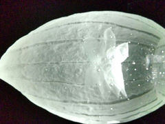 android_upload_pic-上海琉璃艺术博物馆