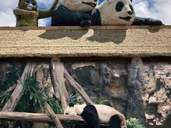 -香港海洋公园