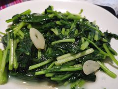 清炒板蓝根-香巴拉云南餐厅(华莱坞店)