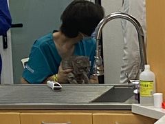 -联合动物医院(光谷诊疗中心)