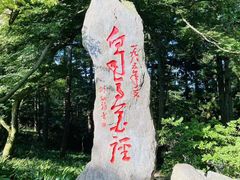 -庐山风景区花径公园