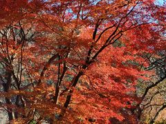 -青岛崂山太清宫