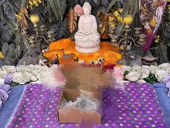 -彩虹桥宠物火化殡葬善终服务(金乐大厦店)