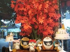 -柴犬高等学院·狗咖·柴犬售卖·宠物训练