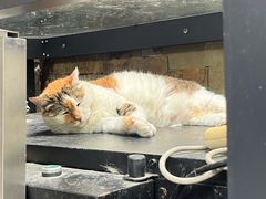 -浅行深作咖啡坊