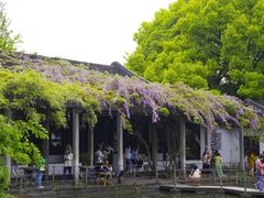 -西园戒幢律寺