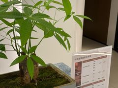 -守田肩颈·推拿SPA(颐豪旗舰店)