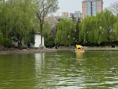 -团结湖公园