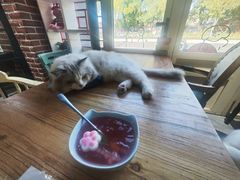 -猫小院猫主题餐厅(南锣旗舰店)