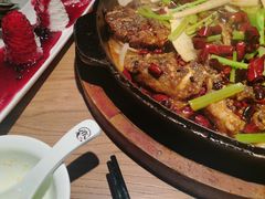 -老板恋上鱼(印象城店)