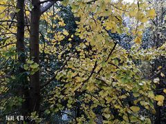 -杭州市第三人民医院