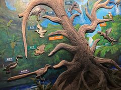 -辽宁古生物博物馆