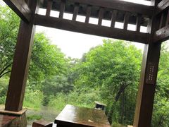 -桃花岭景区