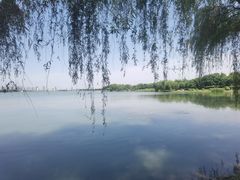 -西山漾湿地公园