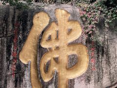-南普陀寺