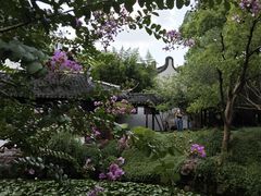 -上海醉白池公园