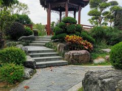 -东莞植物园