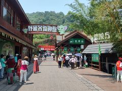 -野象谷景区