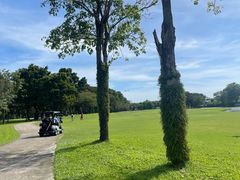 -Thana City Country Club