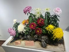 -汇龙潭