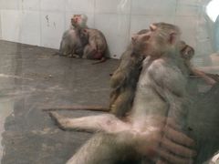 iphone_upload_pic-西安秦岭野生动物园