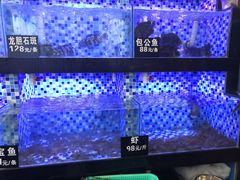 -莲花公园煎蟹(总店)