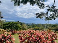 -中国科学院西双版纳热带植物园