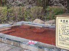 -崇阳三特浪口温泉