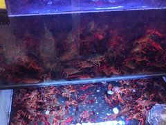 -虾铺子龙虾·私房菜(金源花苑店)