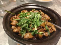 -朱记乳鸽王·非遗石岐乳鸽·全鸽宴(大兴旗舰店)