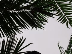 -千龙湖生态旅游度假区