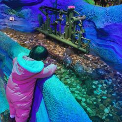 -酷嗒动物文化乐园(cutezoo西溪乐天城店)