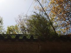 -北京凤凰岭