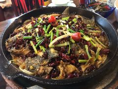 -老板恋上鱼(高新万达店)
